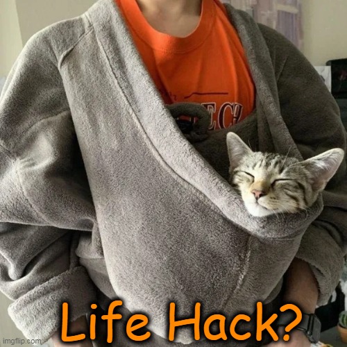 Purrfect! | Life Hack? | image tagged in fun,cats,life hack,hmmm,yes,well yes but actually no | made w/ Imgflip meme maker