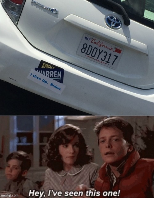 The Biden, Kamala Boogaloo | image tagged in hey i've seen this one | made w/ Imgflip meme maker