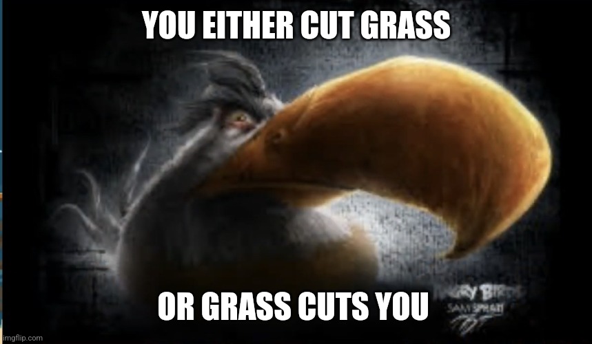 Realistic Mighty Eagle | YOU EITHER CUT GRASS; OR GRASS CUTS YOU | image tagged in realistic mighty eagle | made w/ Imgflip meme maker