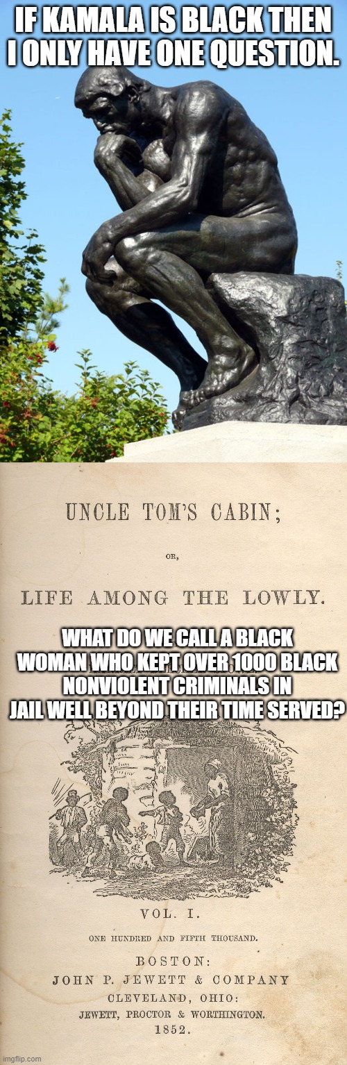 She would then be an Aunt (Insert Name). | IF KAMALA IS BLACK THEN I ONLY HAVE ONE QUESTION. WHAT DO WE CALL A BLACK WOMAN WHO KEPT OVER 1000 BLACK NONVIOLENT CRIMINALS IN JAIL WELL BEYOND THEIR TIME SERVED? | image tagged in the thinker,kamala harris,liar,racist,politics | made w/ Imgflip meme maker