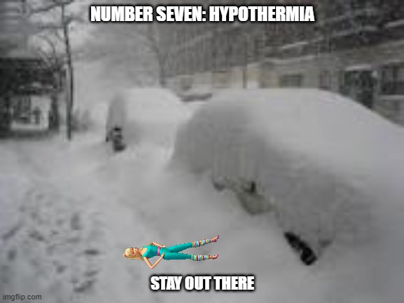 barbie gets thrown outdoors | NUMBER SEVEN: HYPOTHERMIA; STAY OUT THERE | image tagged in snow storm,memes | made w/ Imgflip meme maker