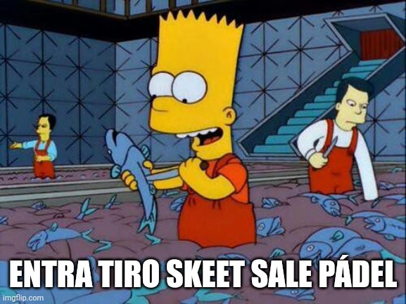 8z8qsb.jpg