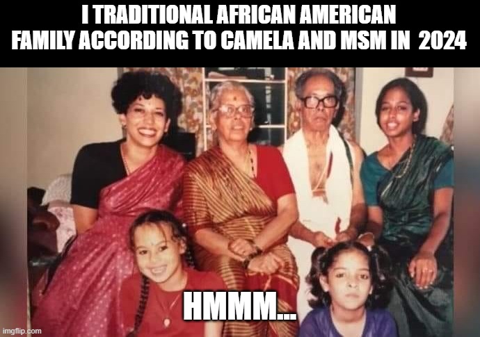 things that make you go .."hmmmm?" | I TRADITIONAL AFRICAN AMERICAN FAMILY ACCORDING TO CAMELA AND MSM IN  2024; HMMM... | image tagged in kamala harris,indian,funny memes,political humor,political meme,donald trump approves | made w/ Imgflip meme maker