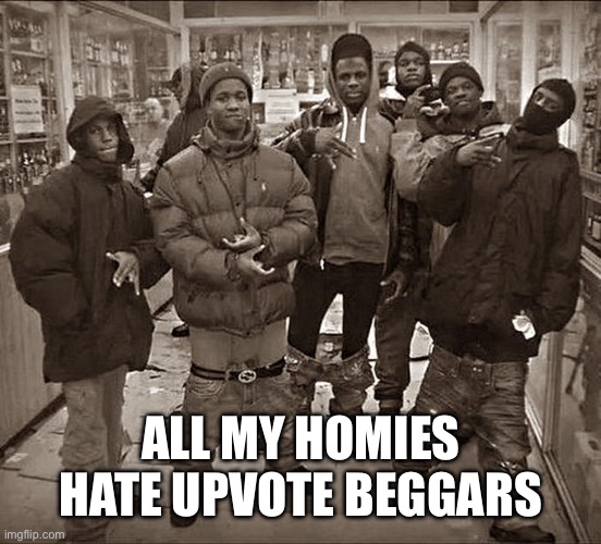 All My Homies Hate | ALL MY HOMIES HATE UPVOTE BEGGARS | image tagged in all my homies hate | made w/ Imgflip meme maker