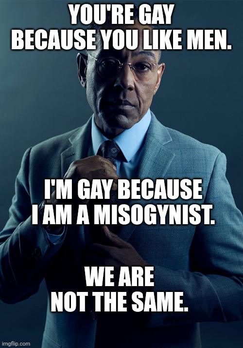 We are not the same | image tagged in breaking bad,gus fring we are not the same,gus fring | made w/ Imgflip meme maker