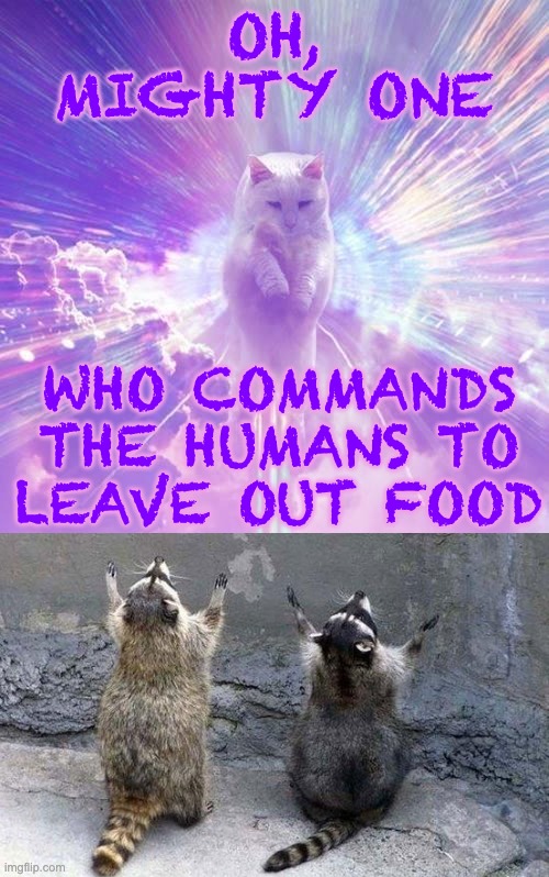 For the food they are about to receive . . . | OH, MIGHTY ONE; WHO COMMANDS
THE HUMANS TO
LEAVE OUT FOOD | image tagged in god cat,raccoons,gift,worship,food | made w/ Imgflip meme maker