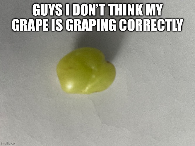 Guys | GUYS I DON’T THINK MY GRAPE IS GRAPING CORRECTLY | image tagged in grape,grapes,weird,fruit,help,you have been eternally cursed for reading the tags | made w/ Imgflip meme maker