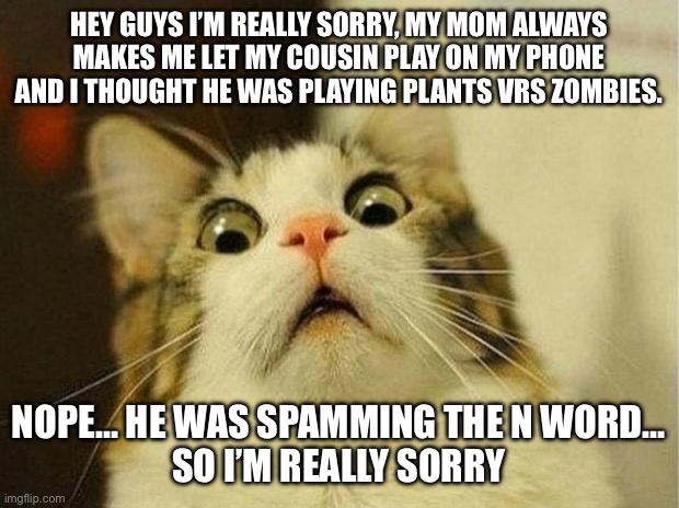 . | HEY GUYS I’M REALLY SORRY, MY MOM ALWAYS MAKES ME LET MY COUSIN PLAY ON MY PHONE AND I THOUGHT HE WAS PLAYING PLANTS VRS ZOMBIES. NOPE… HE WAS SPAMMING THE N WORD…
SO I’M REALLY SORRY | image tagged in memes,scared cat | made w/ Imgflip meme maker