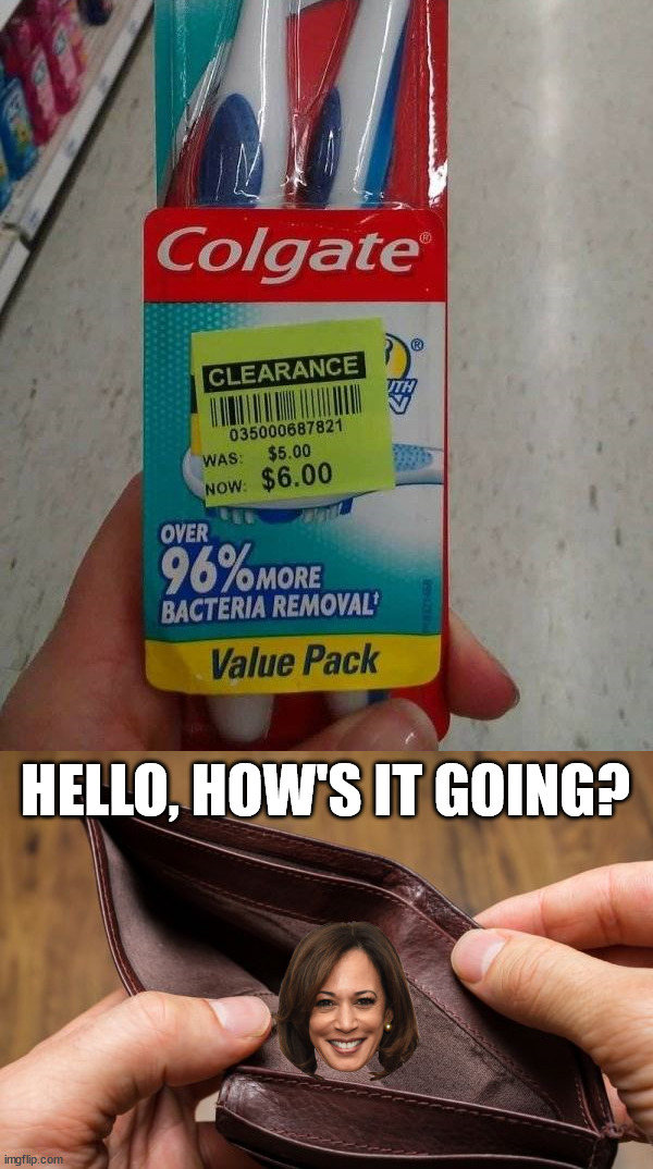 Inflation policies will continue with Kamala | HELLO, HOW'S IT GOING? | image tagged in empty wallet,inflation,pain | made w/ Imgflip meme maker