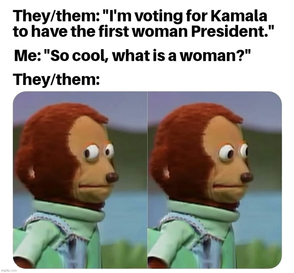 When you use identity to vote and not using policies to decide. Inflation matters! | image tagged in political meme,kamala harris,identity | made w/ Imgflip meme maker