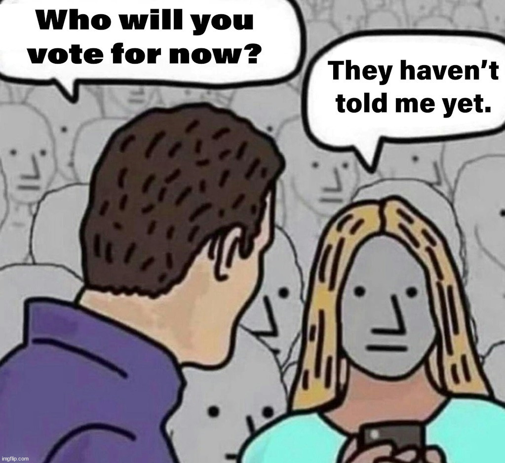 When you just vote for a team and not values. | image tagged in politics | made w/ Imgflip meme maker