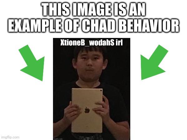 This image is an example of chad behavior | image tagged in this image is an example of chad behavior | made w/ Imgflip meme maker