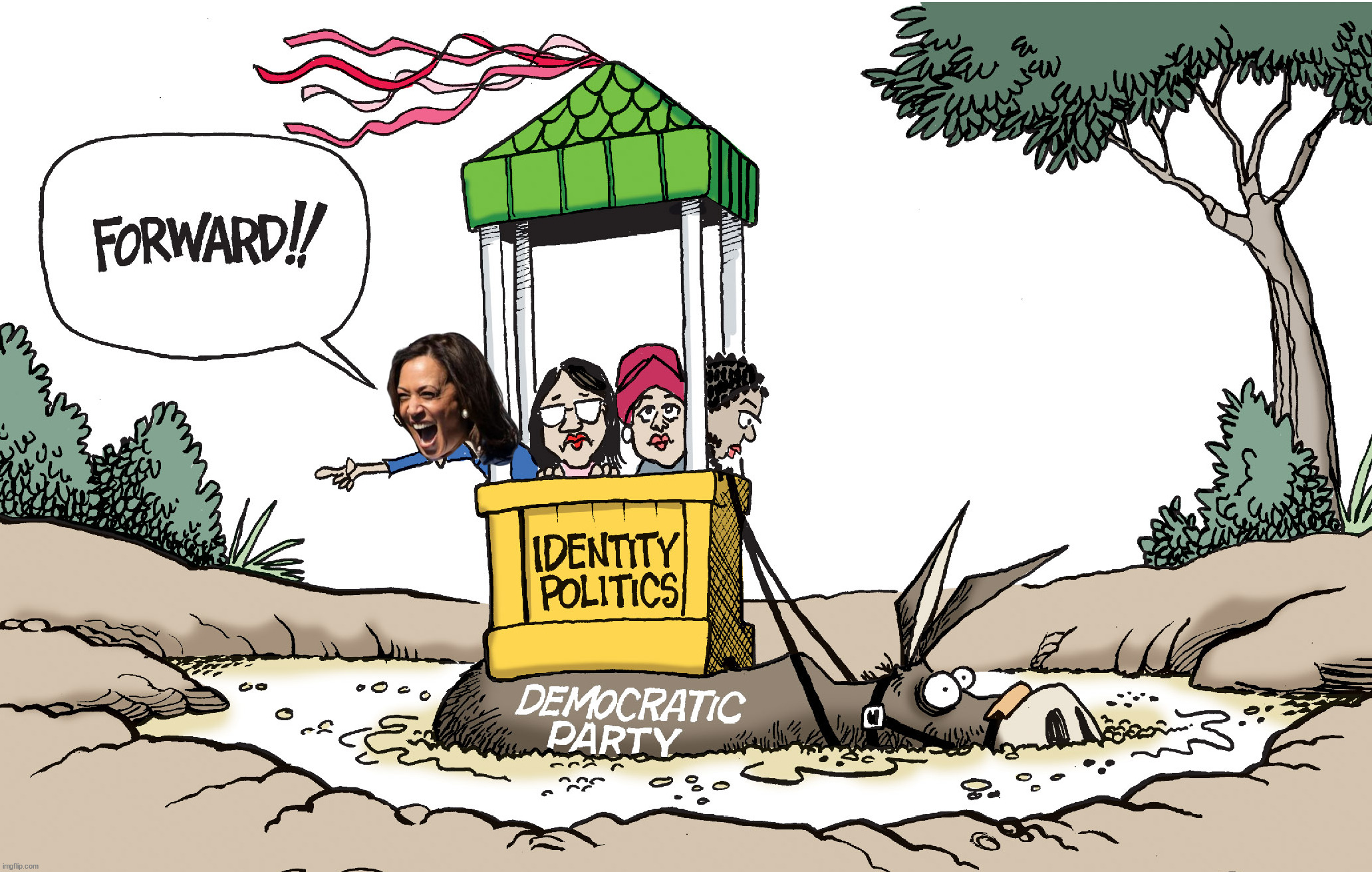 Going backwards and not forward when you vote for an identity | image tagged in politics,identity politics,kamala harris | made w/ Imgflip meme maker