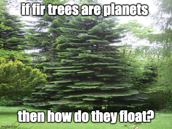 fir trees are planets | if fir trees are planets; then how do they float? | image tagged in memes | made w/ Imgflip meme maker