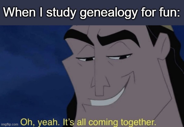 When I Study Genealogy for Fun: | When I study genealogy for fun: | image tagged in it's all coming together | made w/ Imgflip meme maker