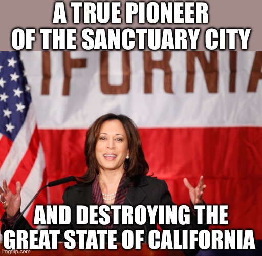 Her Qualifications: | A TRUE PIONEER OF THE SANCTUARY CITY; AND DESTROYING THE GREAT STATE OF CALIFORNIA | image tagged in liberal logic,liberal hypocrisy,sanctuary cities,donald trump | made w/ Imgflip meme maker