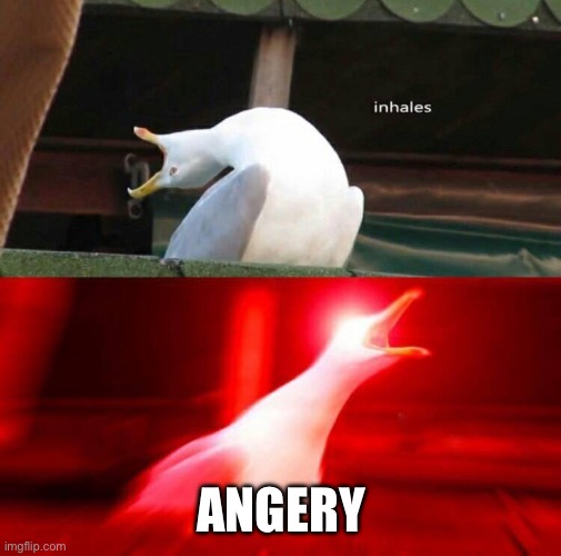 Inhaling Seagull  | ANGERY | image tagged in inhaling seagull | made w/ Imgflip meme maker