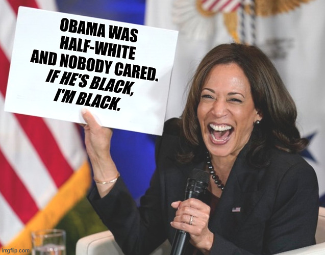 OBAMA WAS 
HALF-WHITE
AND NOBODY CARED. IF HE'S BLACK,
I'M BLACK. | image tagged in kamala harris,obama,black,trump,racist,neo-nazis | made w/ Imgflip meme maker