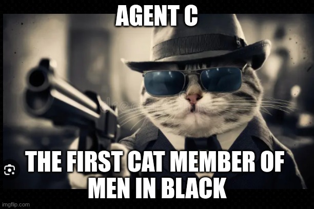 "Men in Black" Kitty | AGENT C; THE FIRST CAT MEMBER OF 
MEN IN BLACK | image tagged in funny memes,men in black,cats,guns | made w/ Imgflip meme maker