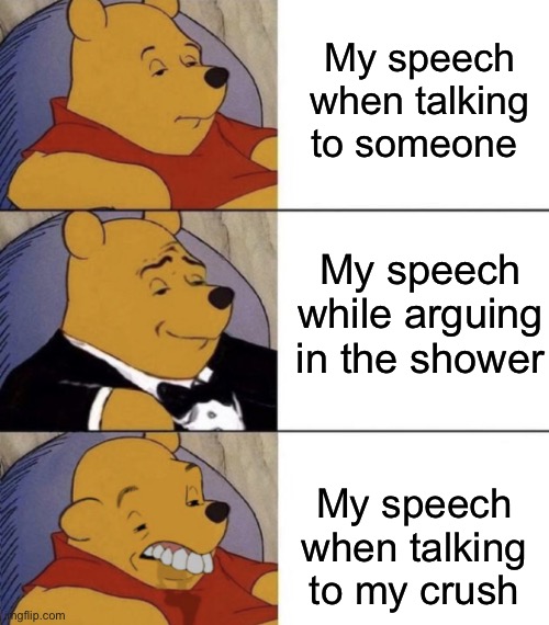 I can’t talk | My speech when talking to someone; My speech while arguing in the shower; My speech when talking to my crush | image tagged in whinnie the poo normal fancy gross | made w/ Imgflip meme maker