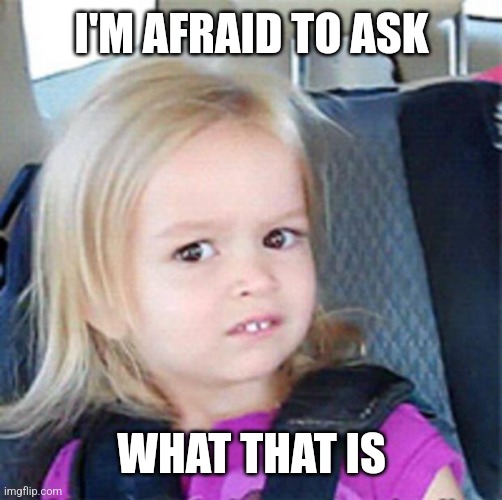 Confused Little Girl | I'M AFRAID TO ASK WHAT THAT IS | image tagged in confused little girl | made w/ Imgflip meme maker
