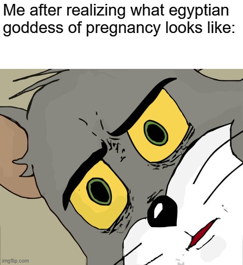 the biggest "character design" fail ever | Me after realizing what egyptian goddess of pregnancy looks like: | image tagged in memes,unsettled tom | made w/ Imgflip meme maker