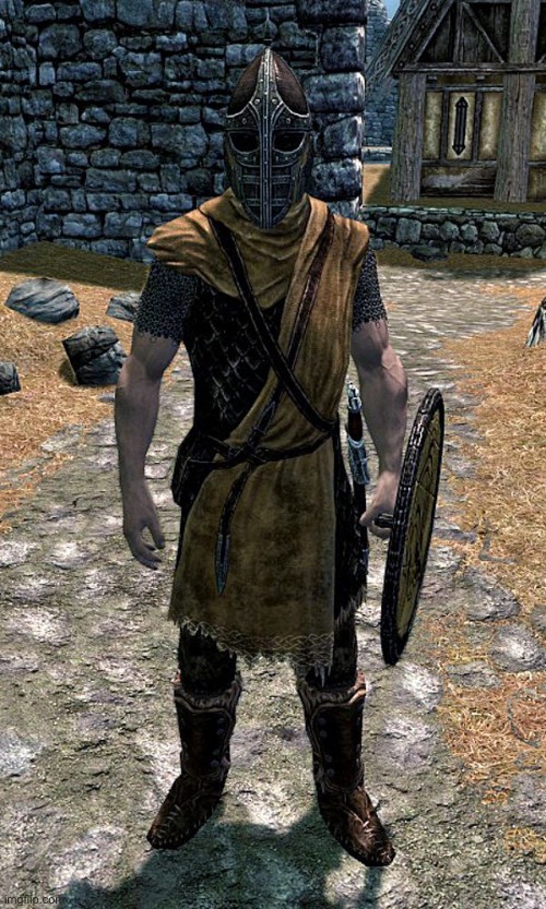 Skyrim Guard | image tagged in skyrim guard | made w/ Imgflip meme maker