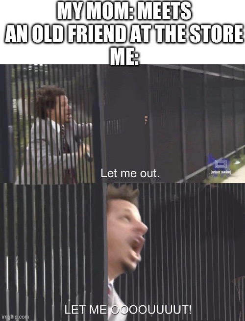 LET ME OUT | MY MOM: MEETS AN OLD FRIEND AT THE STORE
ME: | image tagged in let me out,mom,moms | made w/ Imgflip meme maker