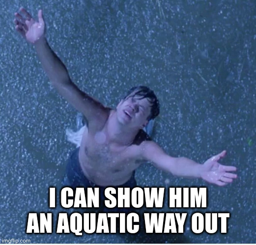 Shawshank redemption freedom | I CAN SHOW HIM AN AQUATIC WAY OUT | image tagged in shawshank redemption freedom | made w/ Imgflip meme maker