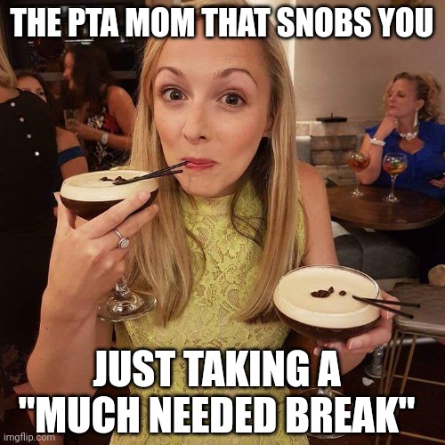 PTA Moms that just think they are better than everyone ? | THE PTA MOM THAT SNOBS YOU; JUST TAKING A "MUCH NEEDED BREAK" | image tagged in cocktail,teacher,parents,mom,arrogant,alcoholic | made w/ Imgflip meme maker