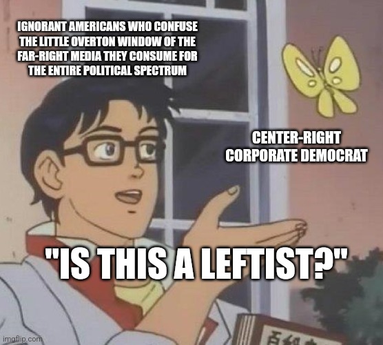 The "marketplace of ideas" fails when you're too scared to honestly engage with ideas outside your little media bubble. | IGNORANT AMERICANS WHO CONFUSE
THE LITTLE OVERTON WINDOW OF THE
FAR-RIGHT MEDIA THEY CONSUME FOR
THE ENTIRE POLITICAL SPECTRUM; CENTER-RIGHT CORPORATE DEMOCRAT; "IS THIS A LEFTIST?" | image tagged in memes,is this a pigeon,leftist,democrat,biased media,ideas | made w/ Imgflip meme maker