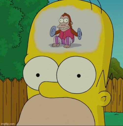 homer monkey | image tagged in homer monkey | made w/ Imgflip meme maker