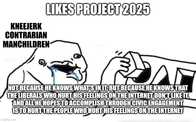 There is no smart reason to support Republicans' anti-Freedom agenda. | LIKES PROJECT 2025; KNEEJERK CONTRARIAN MANCHILDREN; NOT BECAUSE HE KNOWS WHAT'S IN IT, BUT BECAUSE HE KNOWS THAT
THE LIBERALS WHO HURT HIS FEELINGS ON THE INTERNET DON'T LIKE IT,
AND ALL HE HOPES TO ACCOMPLISH THROUGH CIVIC ENGAGEMENT
IS TO HURT THE PEOPLE WHO HURT HIS FEELINGS ON THE INTERNET | image tagged in stupid dumb drooling puzzle,conservative logic,agenda,freedom,fascism,scumbag christian | made w/ Imgflip meme maker