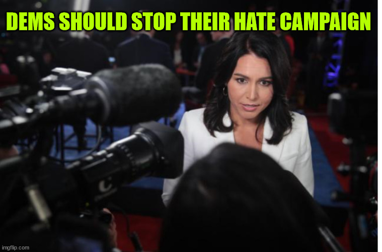 Tulsi Gabbard | DEMS SHOULD STOP THEIR HATE CAMPAIGN | image tagged in tulsi gabbard | made w/ Imgflip meme maker