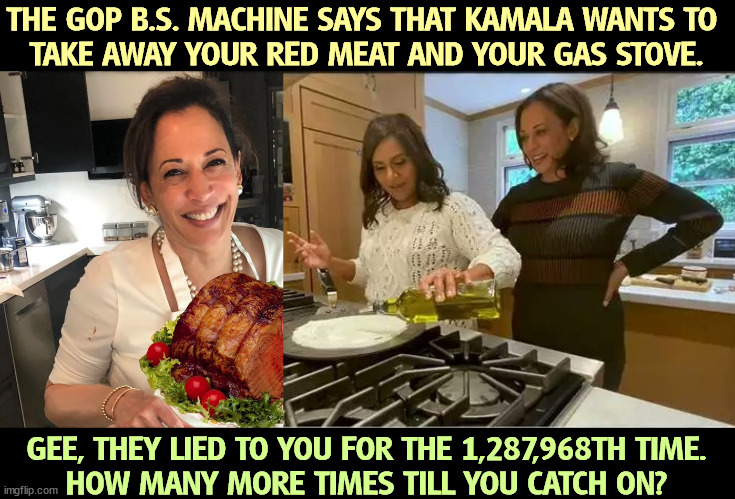 Here she is with both. | THE GOP B.S. MACHINE SAYS THAT KAMALA WANTS TO 
TAKE AWAY YOUR RED MEAT AND YOUR GAS STOVE. GEE, THEY LIED TO YOU FOR THE 1,287,968TH TIME.
HOW MANY MORE TIMES TILL YOU CATCH ON? | image tagged in maga,right wing,conservative,republican,liars,kamala harris | made w/ Imgflip meme maker