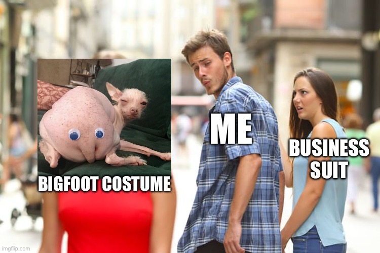 Distracted Boyfriend | ME; BUSINESS SUIT; BIGFOOT COSTUME | image tagged in memes,distracted boyfriend | made w/ Imgflip meme maker