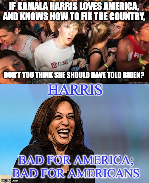 IF KAMALA HARRIS LOVES AMERICA, AND KNOWS HOW TO FIX THE COUNTRY, DON'T YOU THINK SHE SHOULD HAVE TOLD BIDEN? HARRIS; BAD FOR AMERICA; BAD FOR AMERICANS | image tagged in sudden realization,not kamala,donkey laugh,the cackler,you ain't black | made w/ Imgflip meme maker