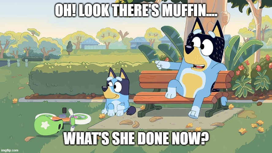 bluey | OH! LOOK THERE'S MUFFIN.... WHAT'S SHE DONE NOW? | image tagged in bluey | made w/ Imgflip meme maker