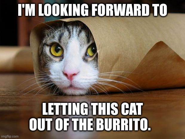 Unlikely likeable surprise | I'M LOOKING FORWARD TO; LETTING THIS CAT OUT OF THE BURRITO. | image tagged in burrito cat,let the cat out of the bag,memes,surprise,fitting in,adorable | made w/ Imgflip meme maker
