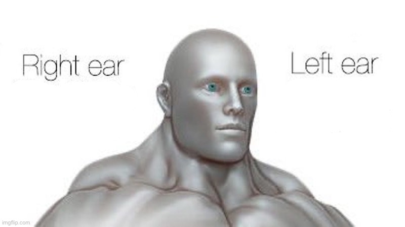 right ear left ear | image tagged in right ear left ear | made w/ Imgflip meme maker