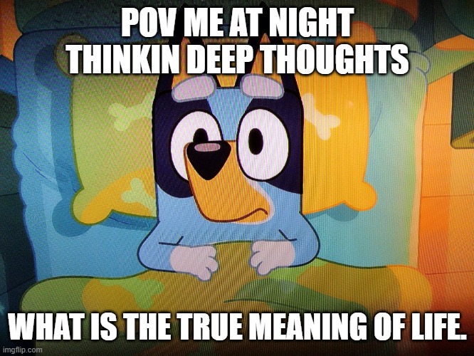 Bluey in bed | POV ME AT NIGHT THINKIN DEEP THOUGHTS; WHAT IS THE TRUE MEANING OF LIFE. | image tagged in bluey in bed | made w/ Imgflip meme maker