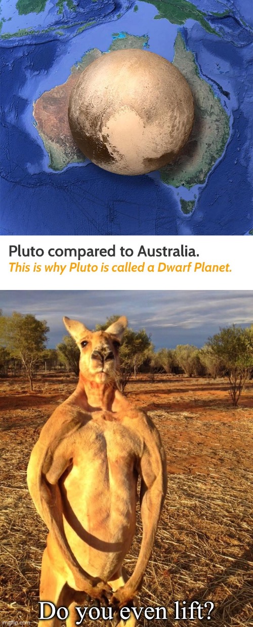 Pluto vs Kangaroo | Do you even lift? | image tagged in buff kangaroo,pluto,kangaroo,do you even lift | made w/ Imgflip meme maker