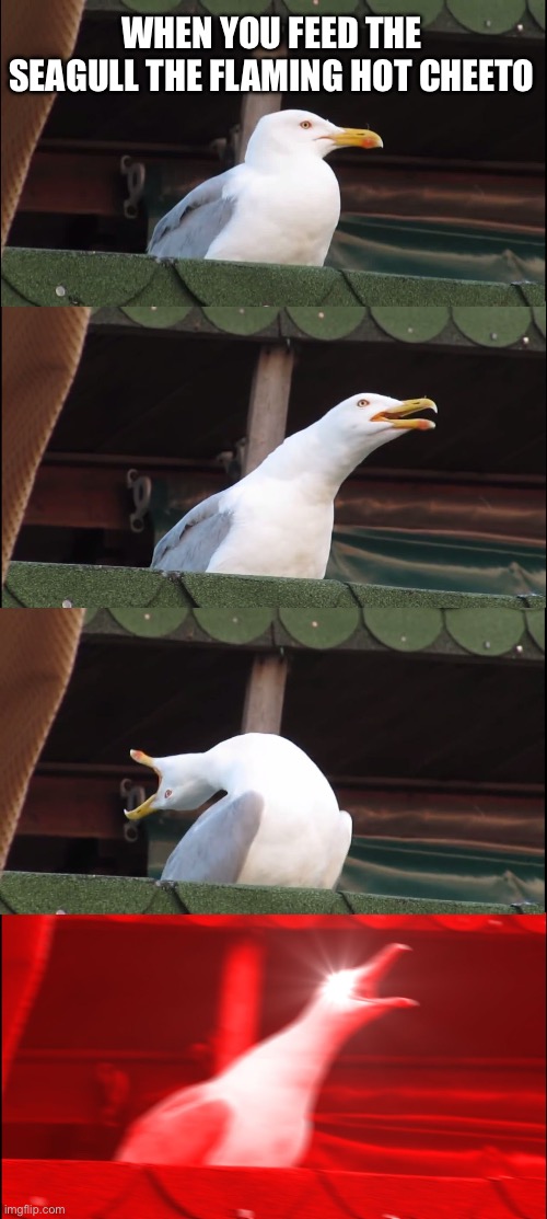 Inhaling Seagull | WHEN YOU FEED THE SEAGULL THE FLAMING HOT CHEETO | image tagged in memes,inhaling seagull,cheetos,funny meme,fun,funny | made w/ Imgflip meme maker