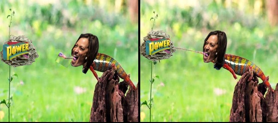 Kamala Chameleon Blank Meme Template