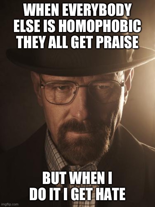 explain | WHEN EVERYBODY ELSE IS HOMOPHOBIC THEY ALL GET PRAISE; BUT WHEN I DO IT I GET HATE | image tagged in walter white | made w/ Imgflip meme maker