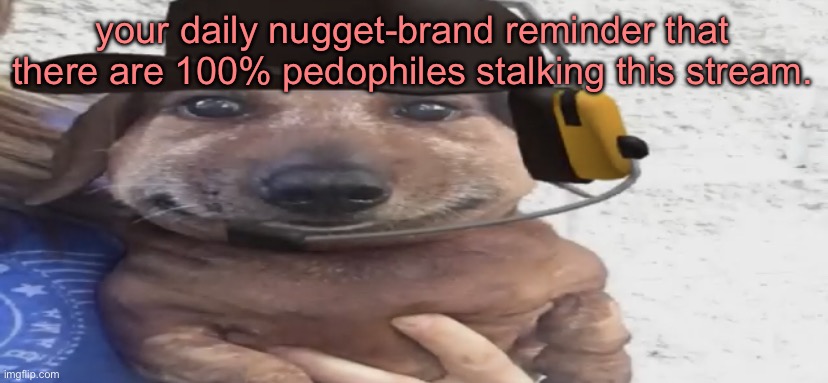 chucklenuts | your daily nugget-brand reminder that there are 100% pedophiles stalking this stream. | image tagged in chucklenuts | made w/ Imgflip meme maker