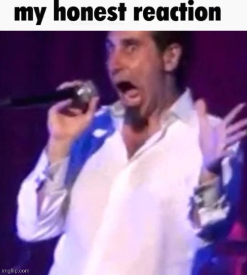 Serj tankian my honest reaction | image tagged in serj tankian my honest reaction | made w/ Imgflip meme maker