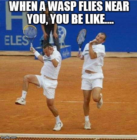You Be Like.... | WHEN A WASP FLIES NEAR YOU, YOU BE LIKE.... | image tagged in memes,funny | made w/ Imgflip meme maker