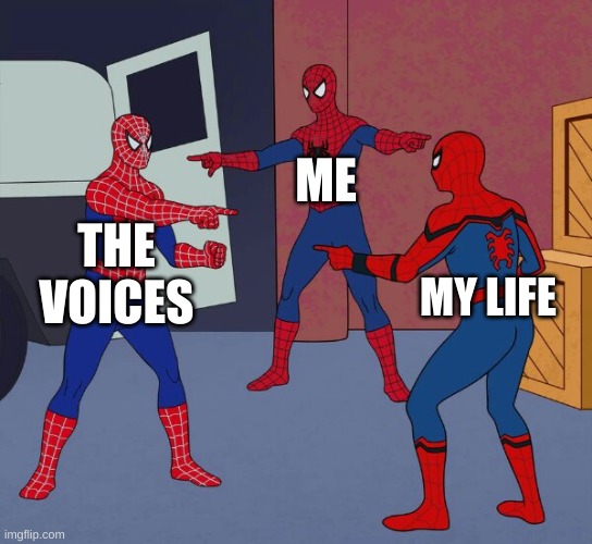 the voices me my life | ME; THE VOICES; MY LIFE | image tagged in spider man triple | made w/ Imgflip meme maker