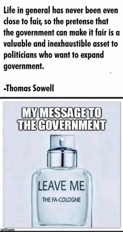 Less government... | image tagged in thomas sowell,smart man,less government is best,democrats want more government | made w/ Imgflip meme maker